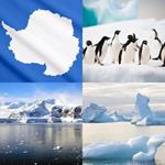 9-buchstaben-antwort-antarktis