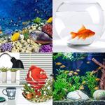 8-buchstaben-antwort-aquarium