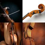5-buchstaben-antwort-cello