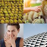 6-buchstaben-antwort-durian
