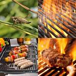 7-buchstaben-antwort-grillen