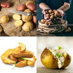 9-buchstaben-antwort-kartoffel