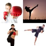 9-buchstaben-antwort-kickboxer