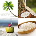 5-buchstaben-antwort-kokos