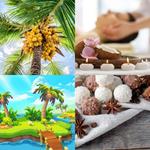 9-buchstaben-antwort-kokosnuss