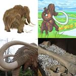 6-buchstaben-antwort-mammut