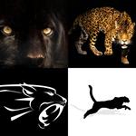 7-buchstaben-antwort-panther