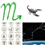 8-buchstaben-antwort-skorpion