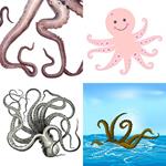 9-buchstaben-antwort-tentakeln