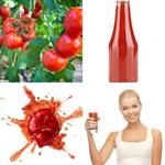 6-buchstaben-antwort-tomate