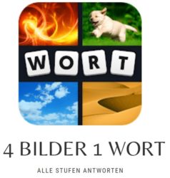 4 Bilder 1 Wort